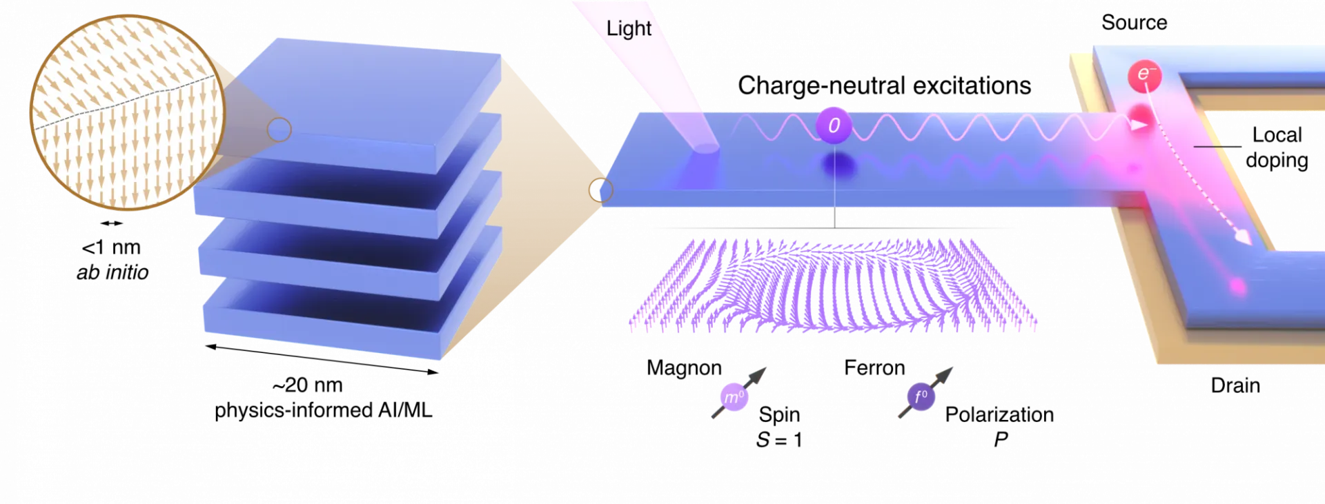 IRG1 overview figure